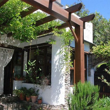 Casa Africa Guest House Mecina Fondales Eksteriør bilde